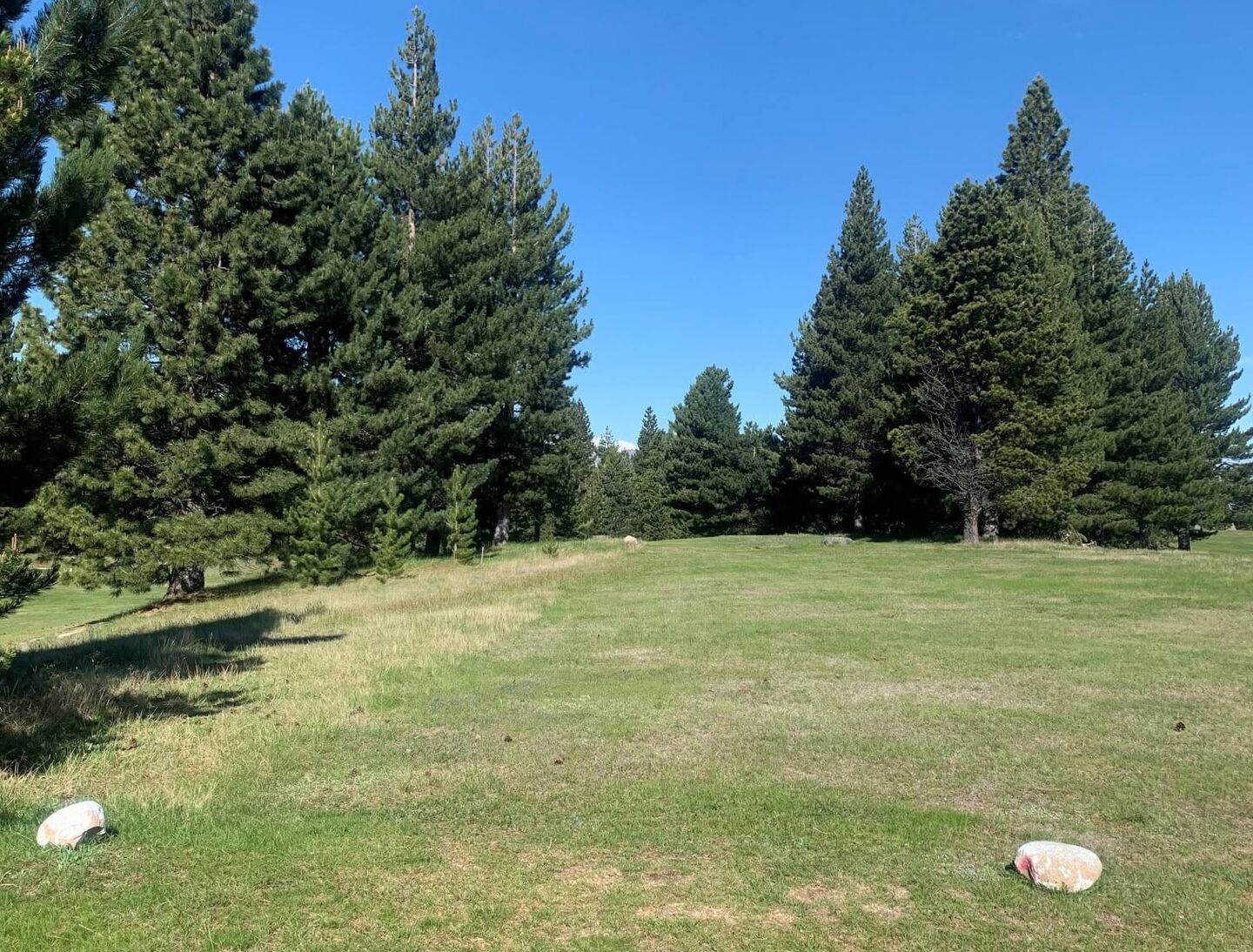 MacKenzie Golf Club