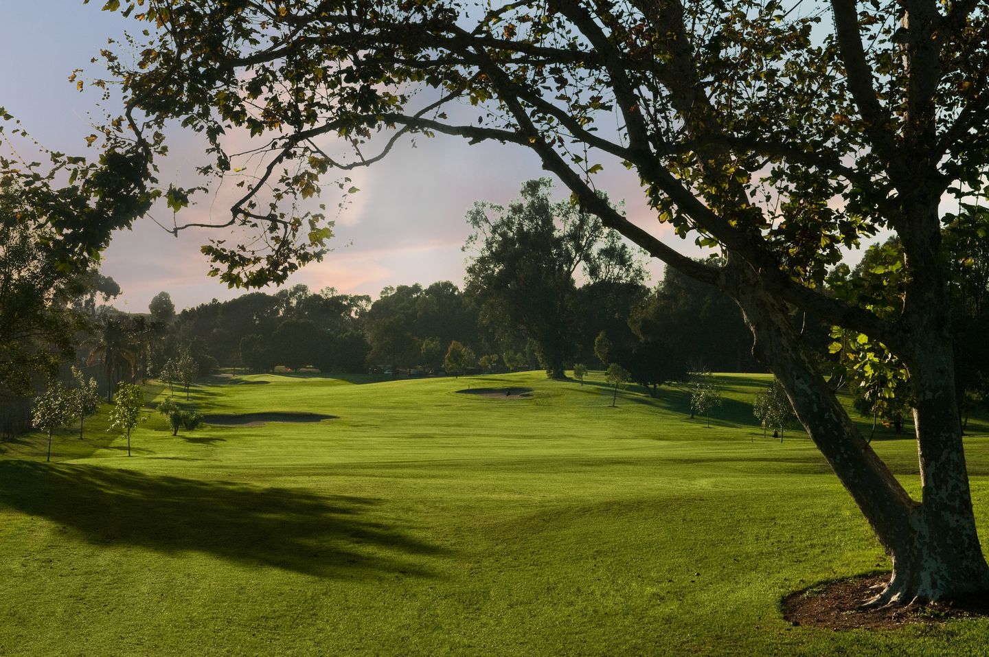 Recreation Park Golf Course 9