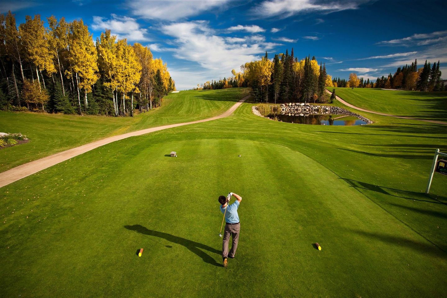 Tamarack/Aspen