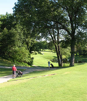 Dogwood Trail
