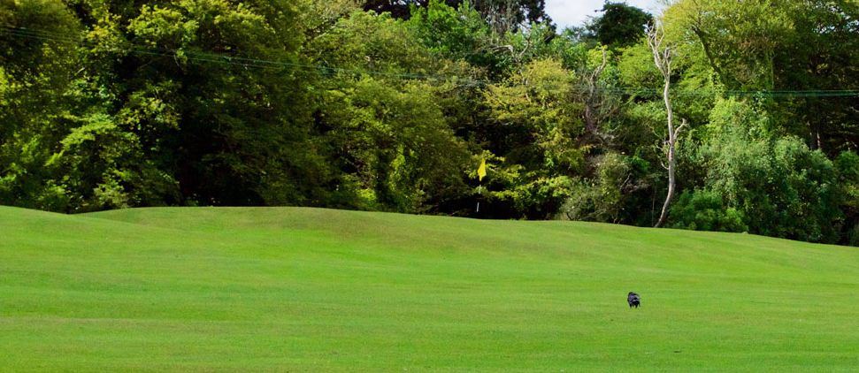 Pitch & Putt Course