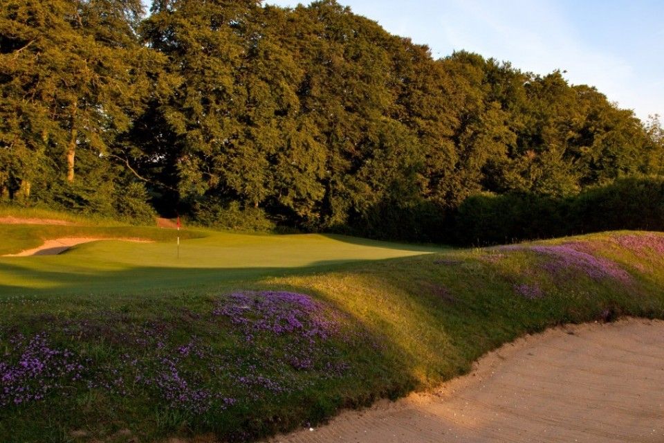 New Course