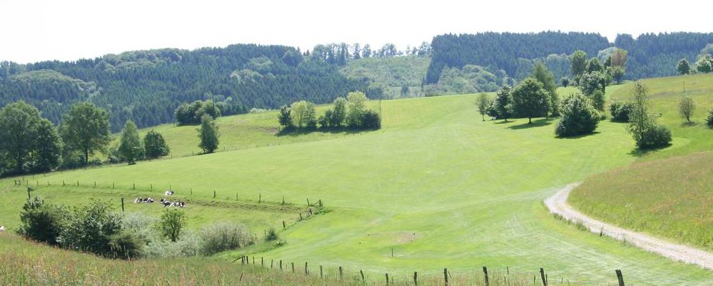 9-hole Course