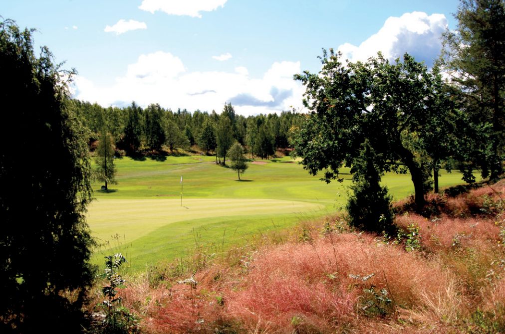 9-Holes Course
