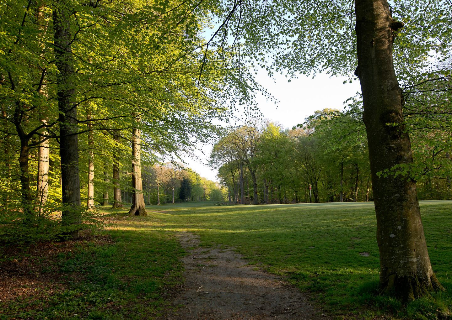 Park Course