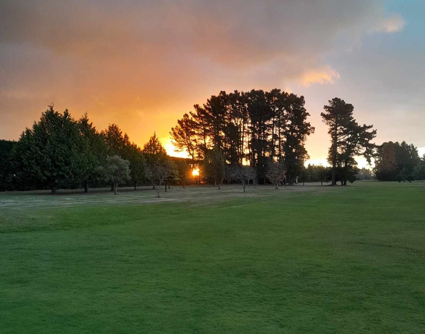 Ellesmere Golf Club