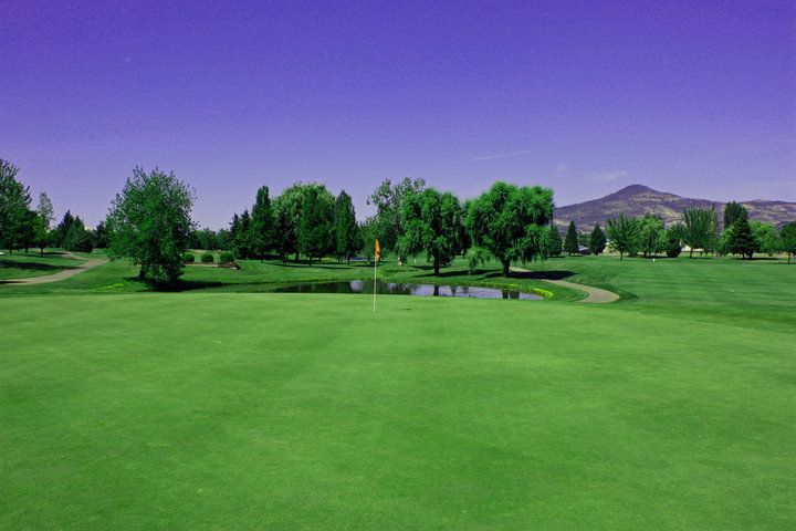 Stewart Meadows