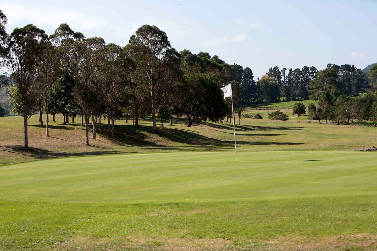 Purangi Golf & Country Club Inc