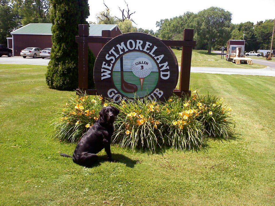 Westmoreland Golf Club in Westmoreland, New York, USA GolfPass