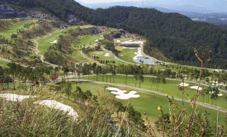 Stellar Course