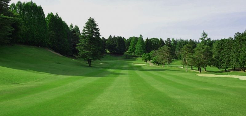 Katsuragi/Saotome Course