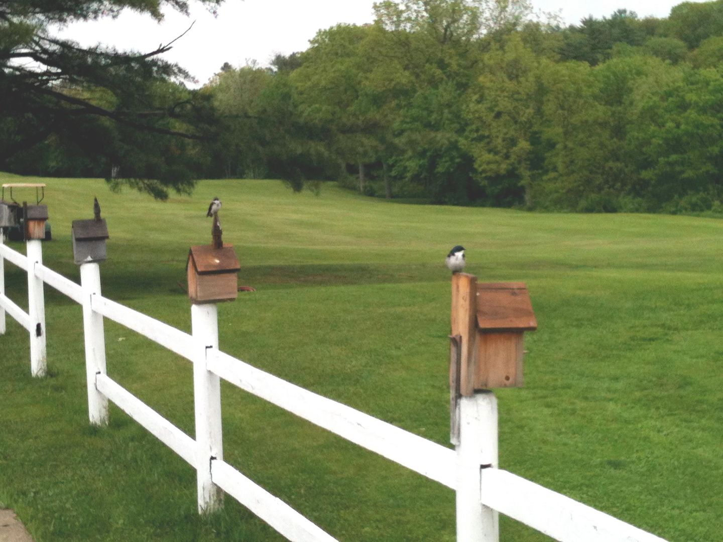 Salmon Falls Golf Club in Hollis, Maine, USA GolfPass