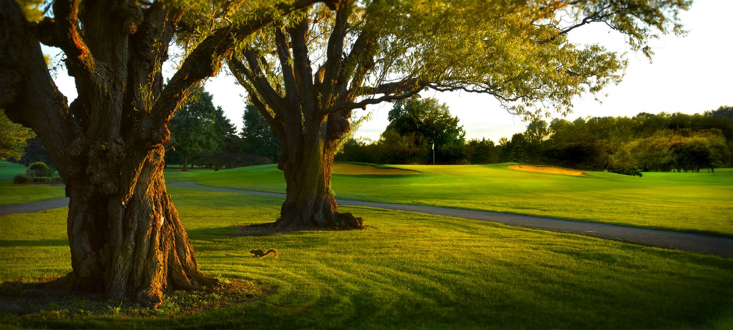 Sawmill Creek Golf & Racquet Club