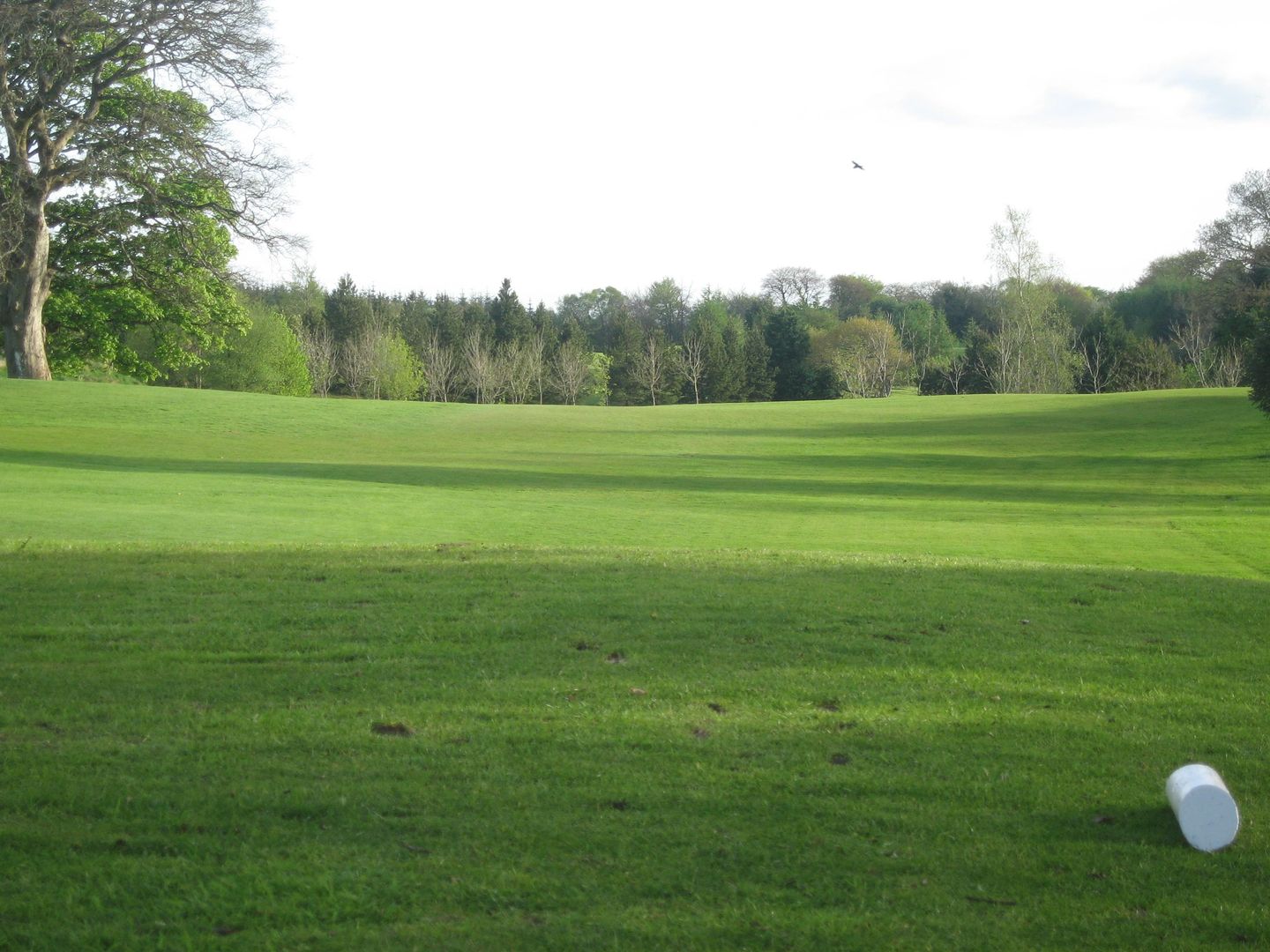 Swinford Golf Club