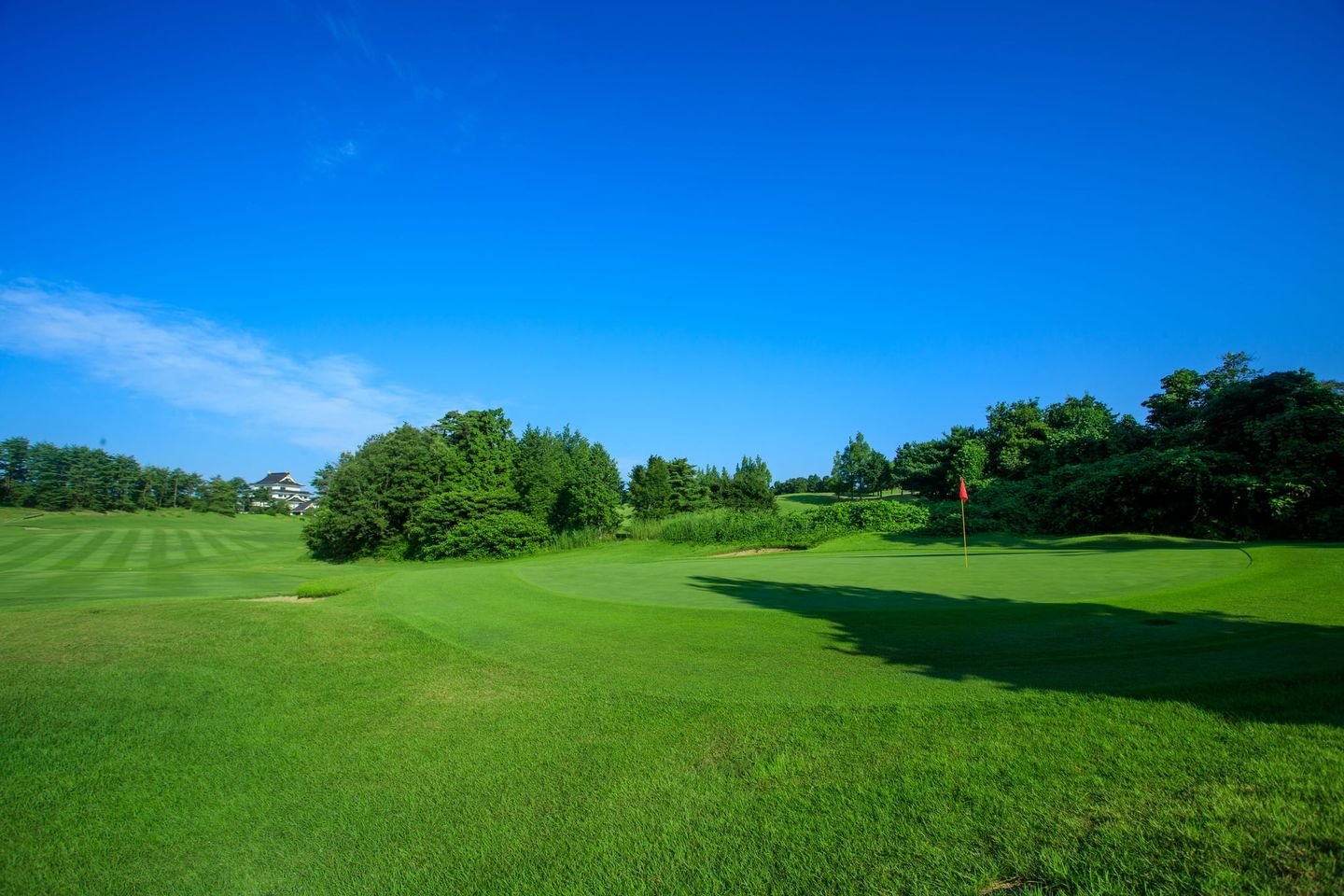 Pine/Bamboo Course