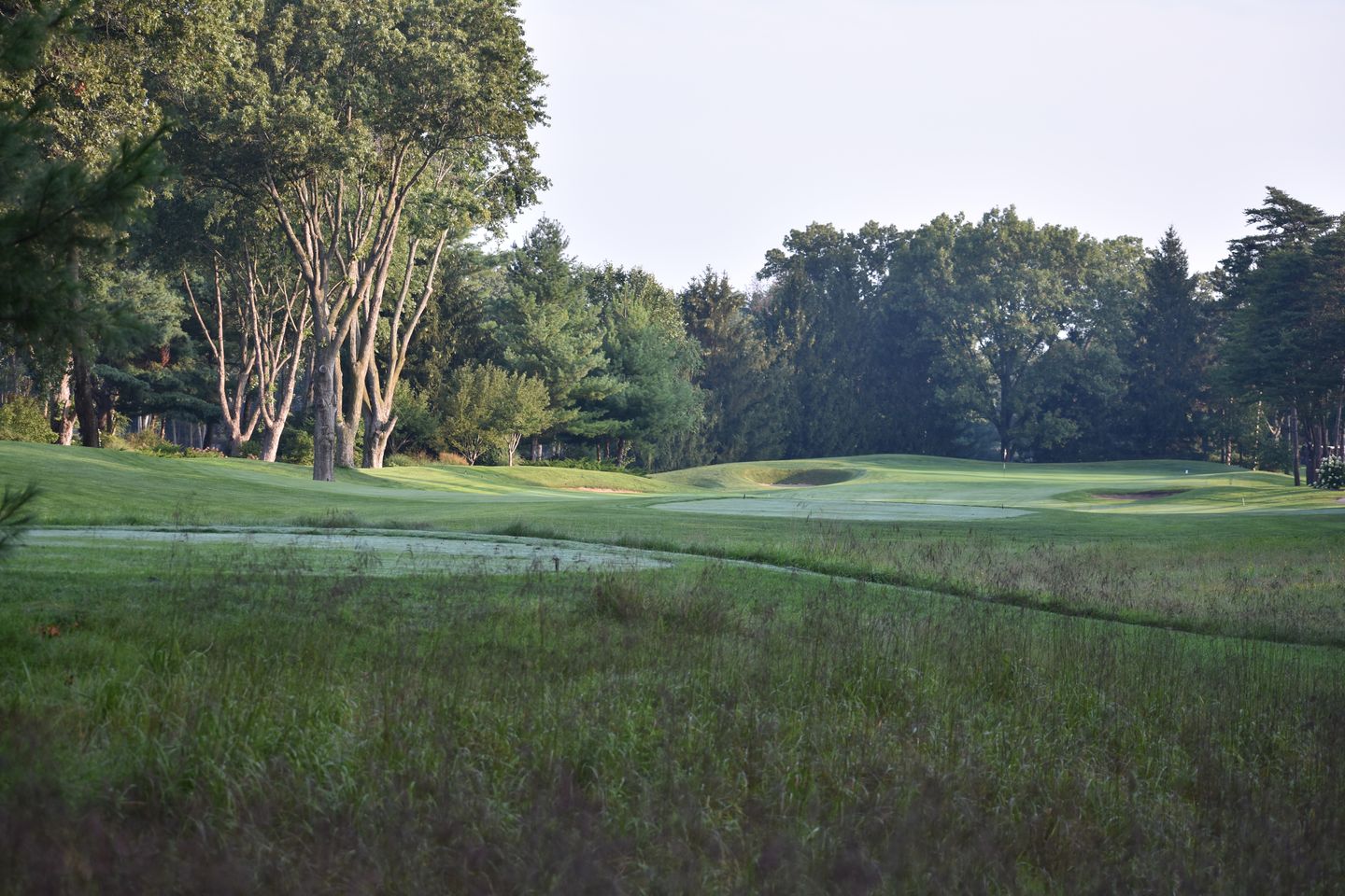 Sandy Pines Golf Club in DeMotte, Indiana, USA GolfPass