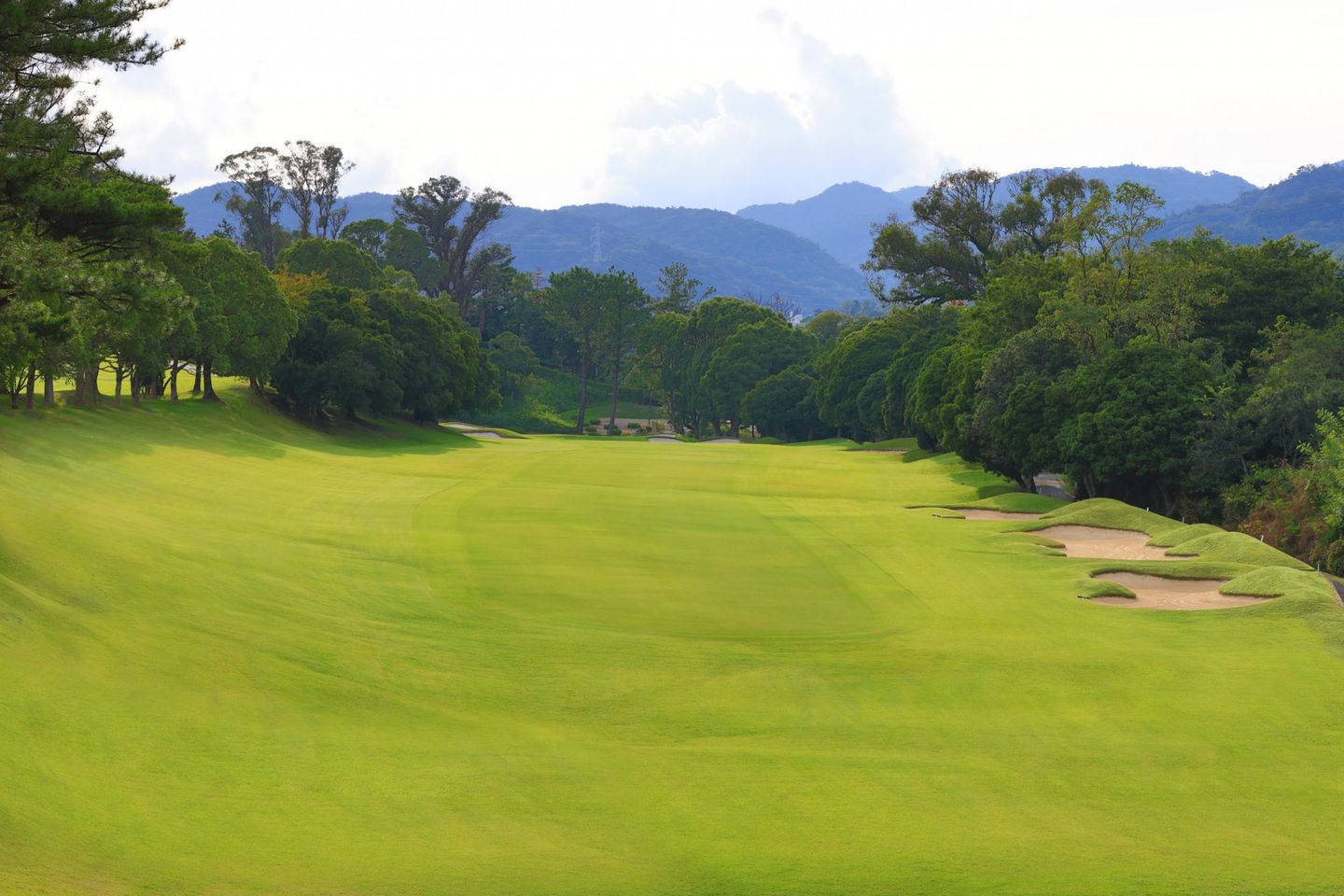 New Course