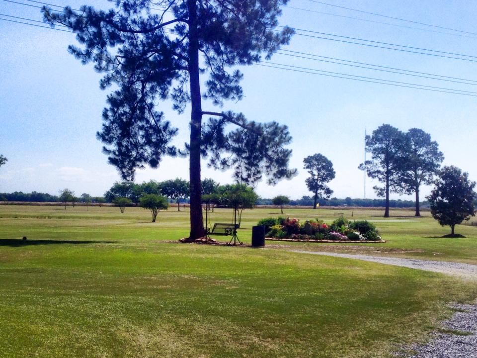 Cajun Pines Golf Course
