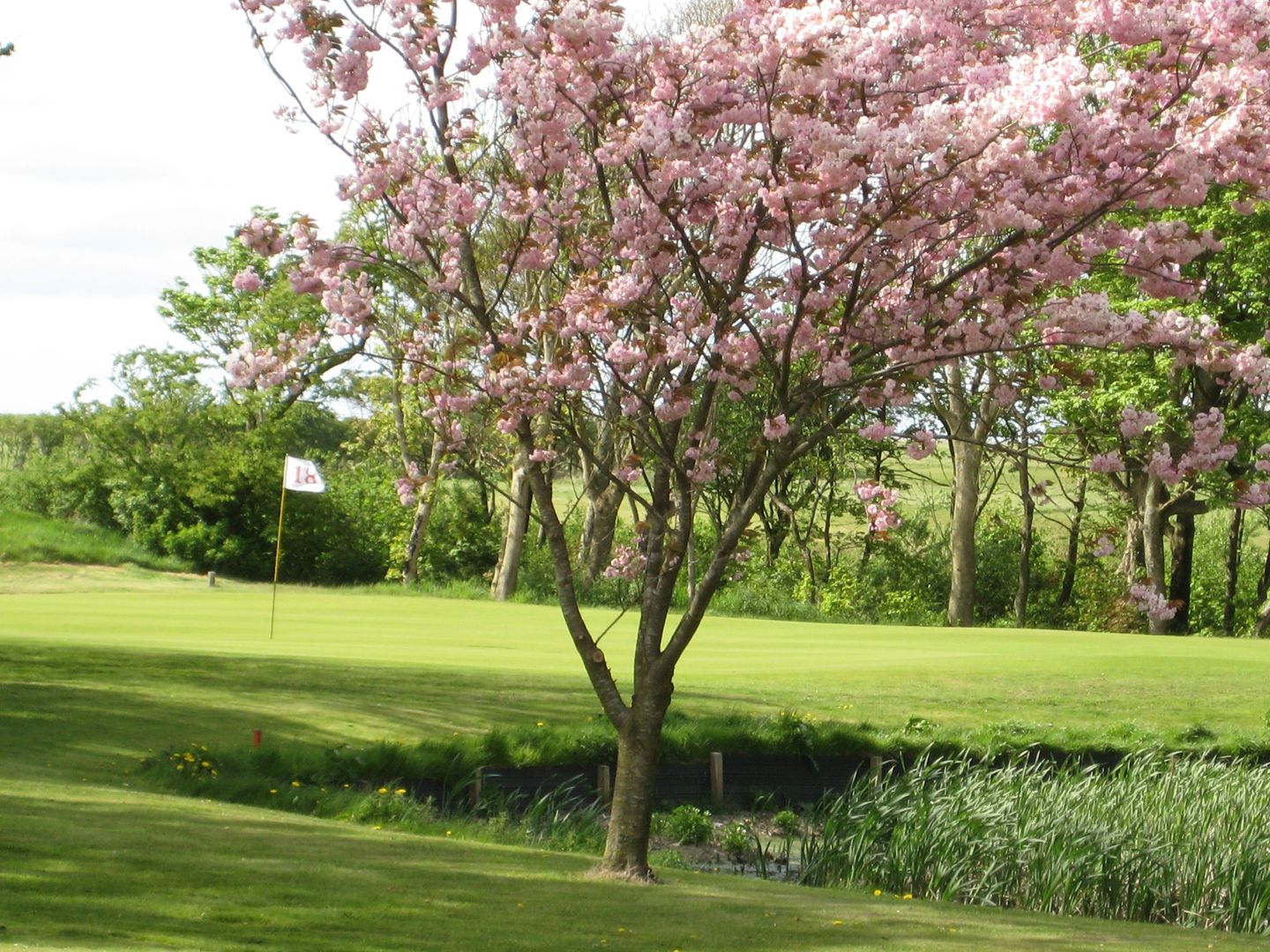 Loegstoer Golf Club