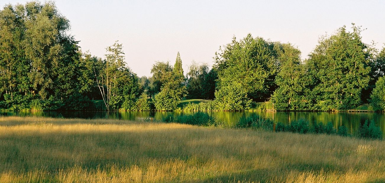 Damme Golf And Country Club