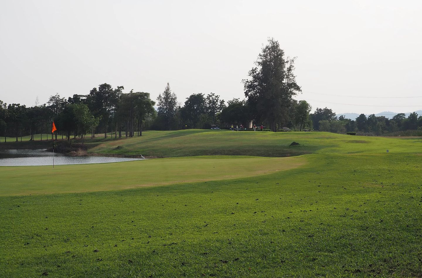 North Course
