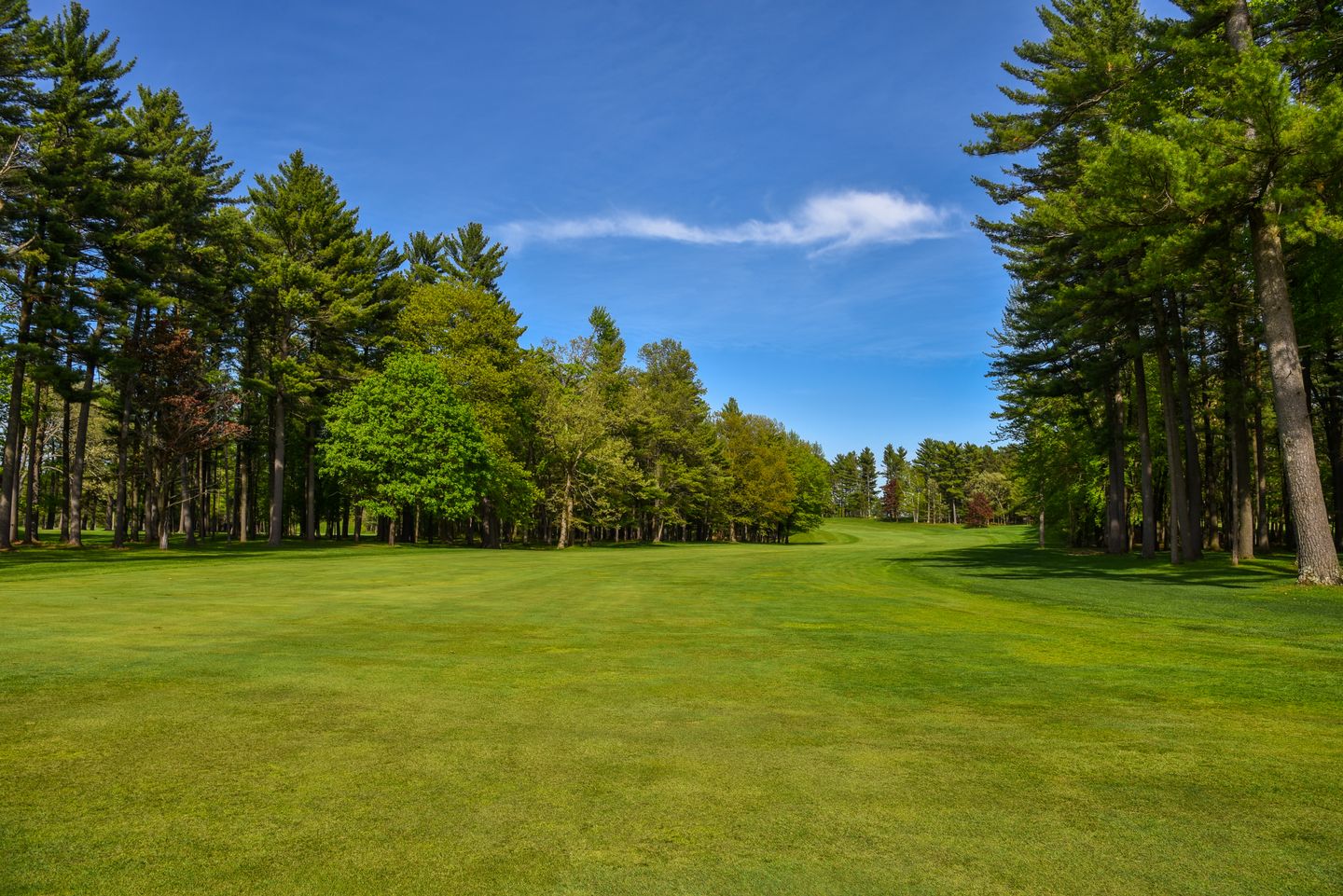 Bullseye Golf Club