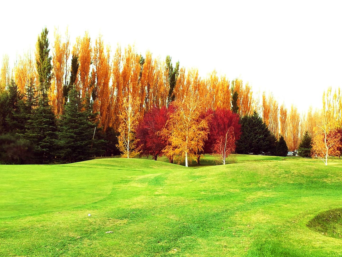 Golf Club General Roca