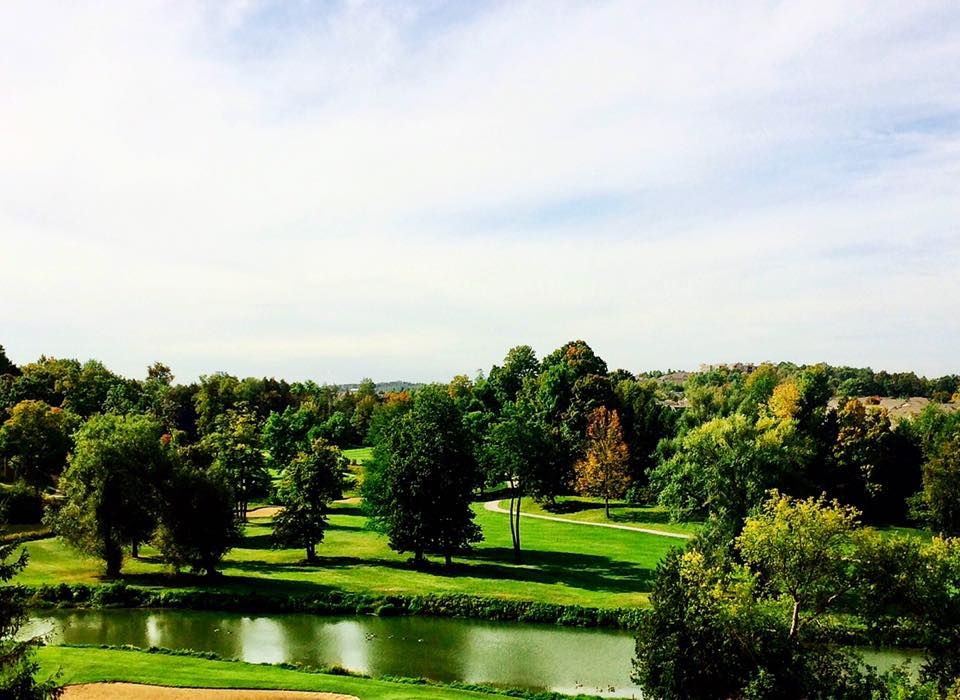 Green Briar/Briar Hill