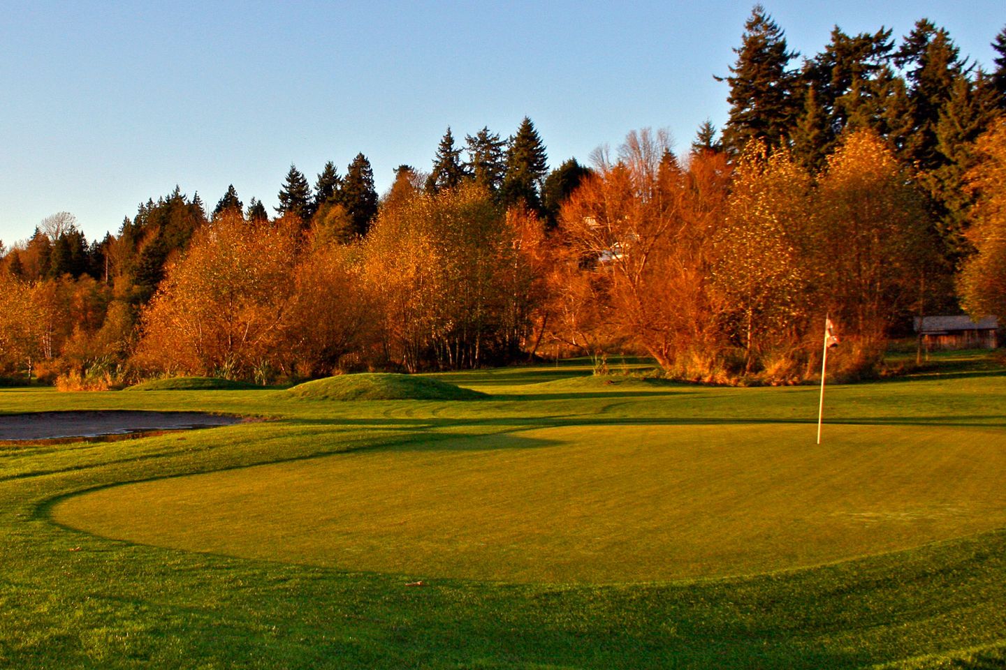 Birdies & Buckets Family Golf Centre in Surrey, British Columbia