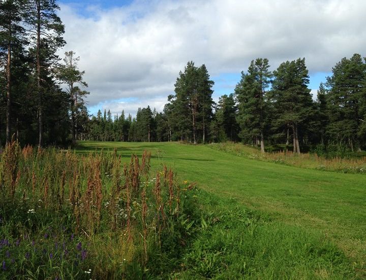 Kiruna Golf Club