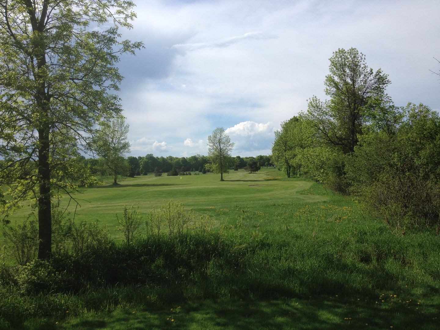 Crooked Creek