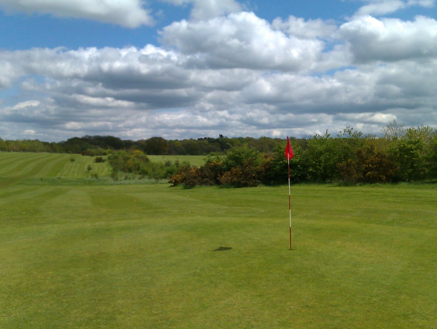 Blue Course