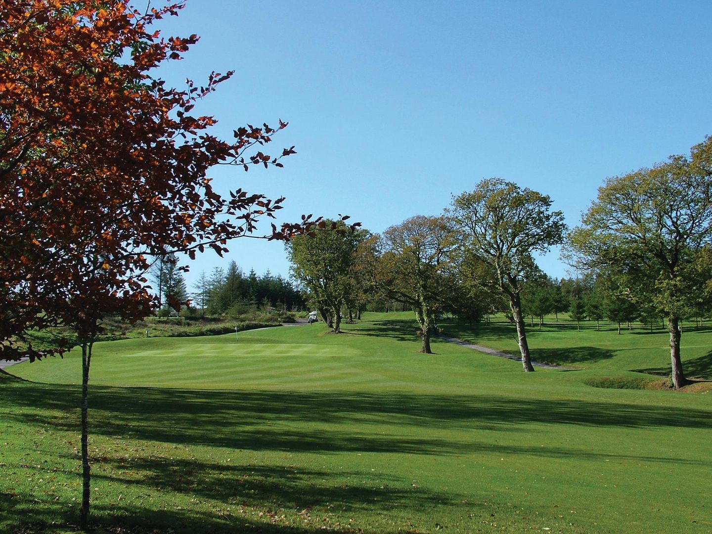 The Manor House Hotel & Ashbury Hotel