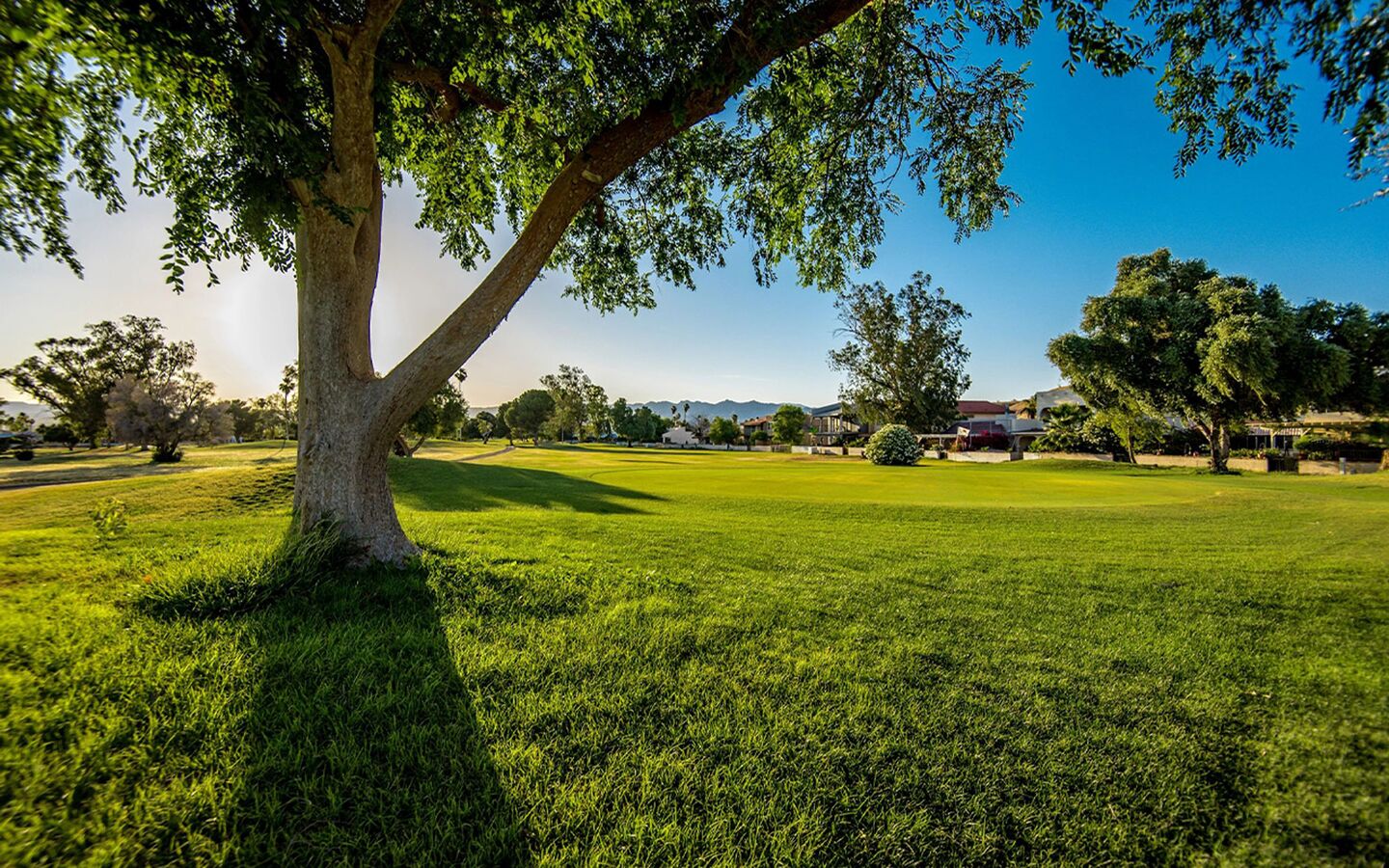 Chaparral Golf Course and Restaurant