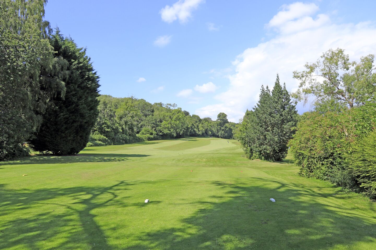 Dinas Powis Golf Club