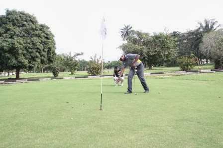 Blue Elephant Cement Golf Club