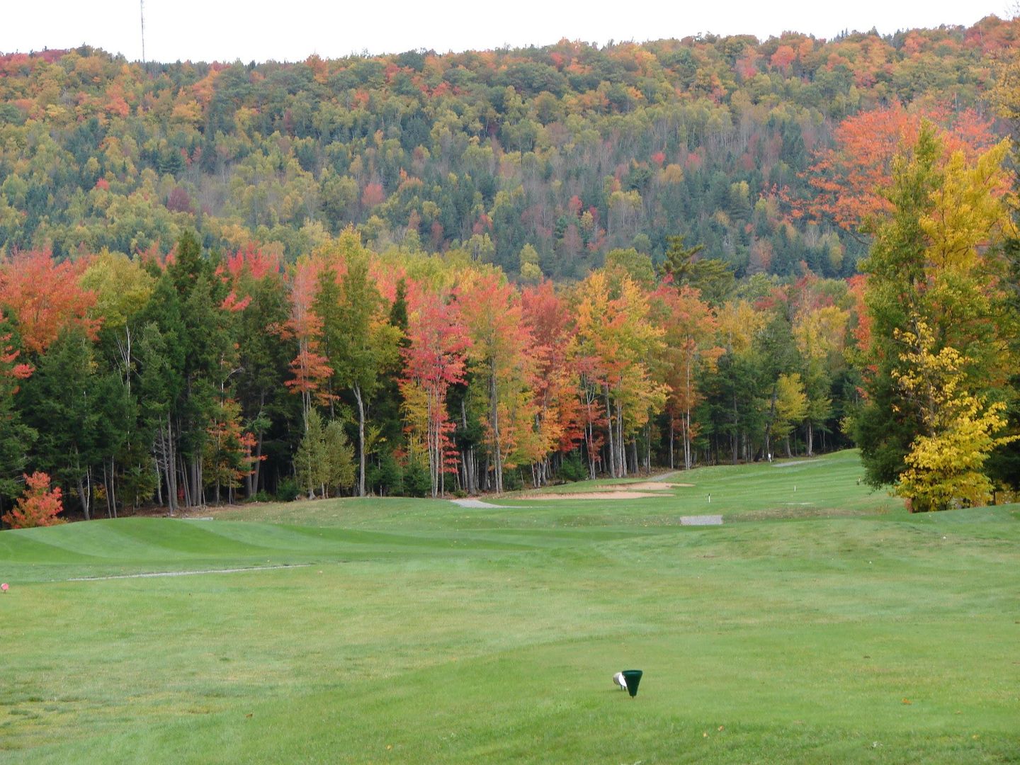 Berwick Heights Golf Course