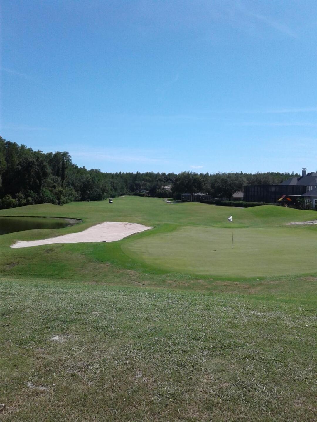 (Photo submitted by Baldybrown2 on 06/30/2019)