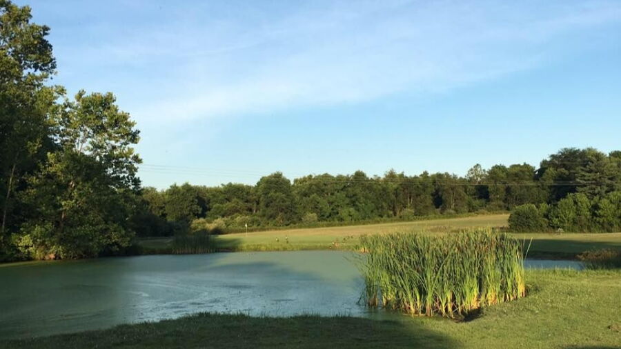 Sleepy Hollow GCC