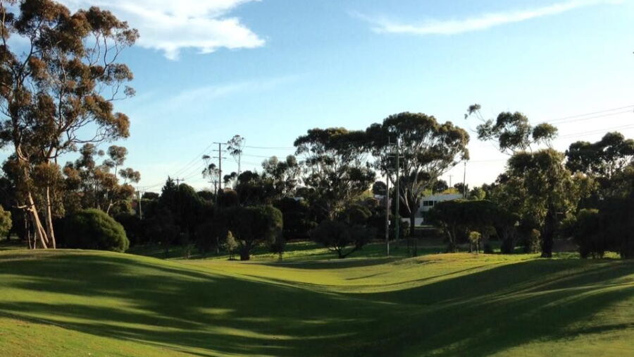 Geelong GC