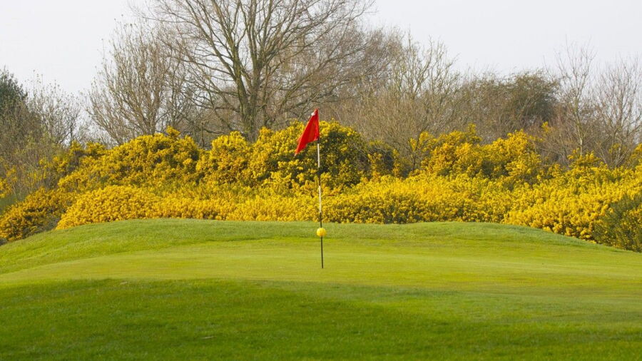 Tadmarton Heath GC