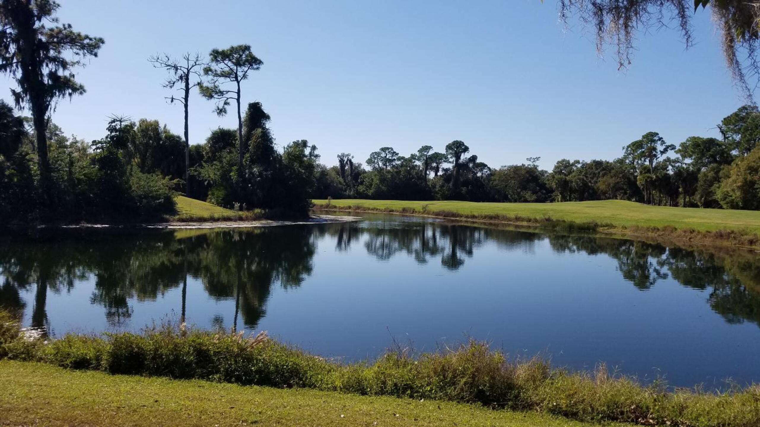 (Photo submitted by Shep9350669 on 12/18/2019)