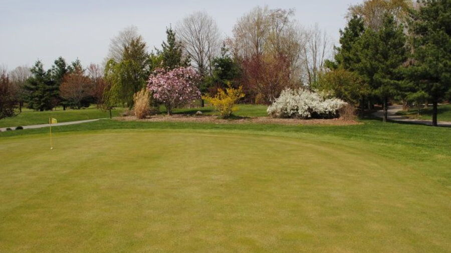 Golden Hawk GC
