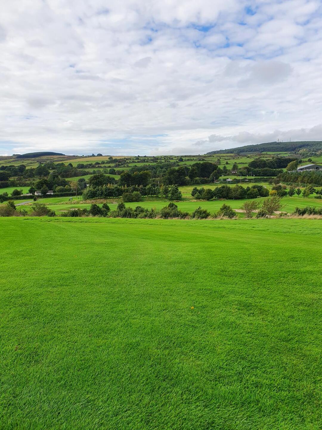 (Photo submitted by tagger1970 on 09/26/2021)