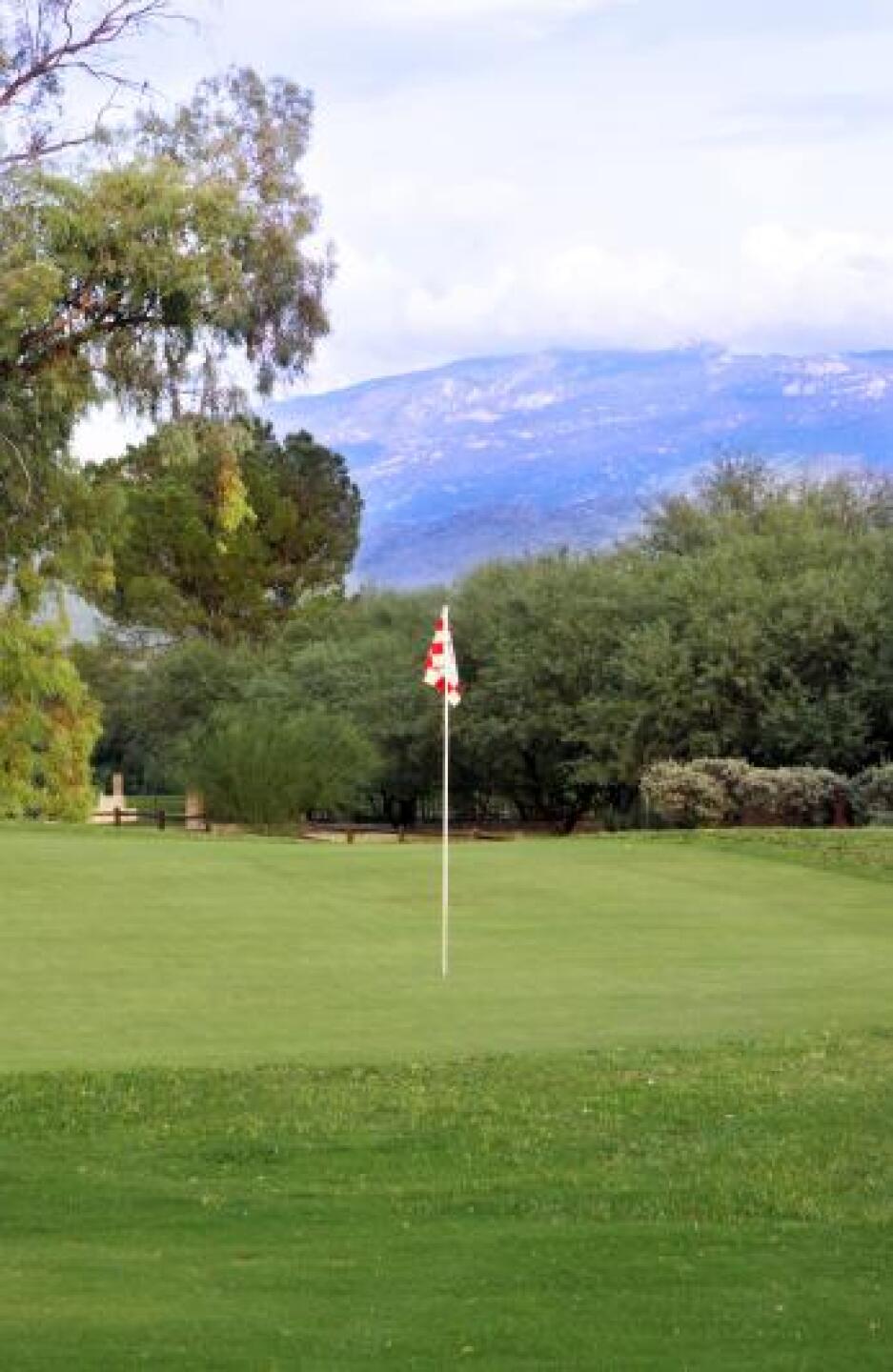 (Photo submitted by cpolivchak on 03/06/2013)