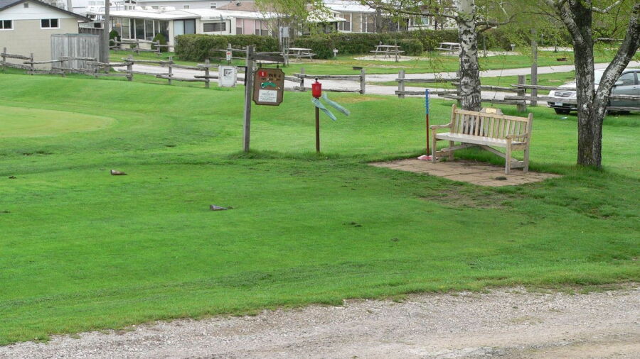 Chesley Lake Camp GC: #1