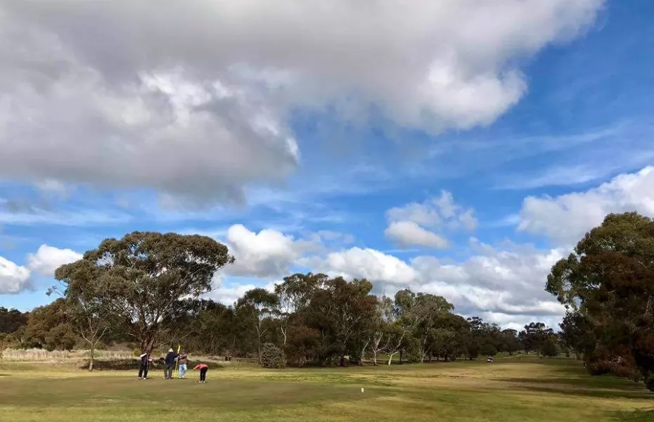 Temora GC