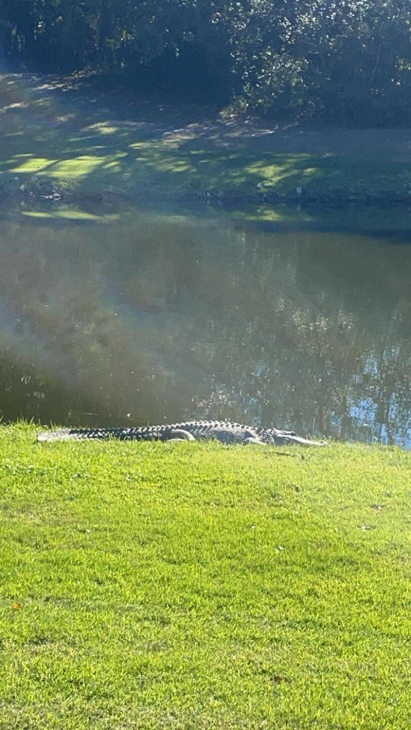 (Photo submitted by u314159660094 on 11/23/2024)