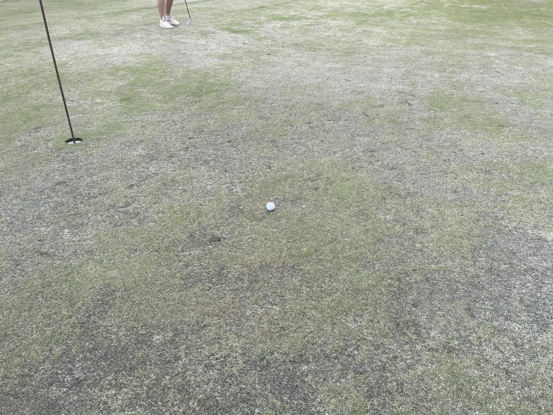 (Photo submitted by david5382335 on 04/01/2026)