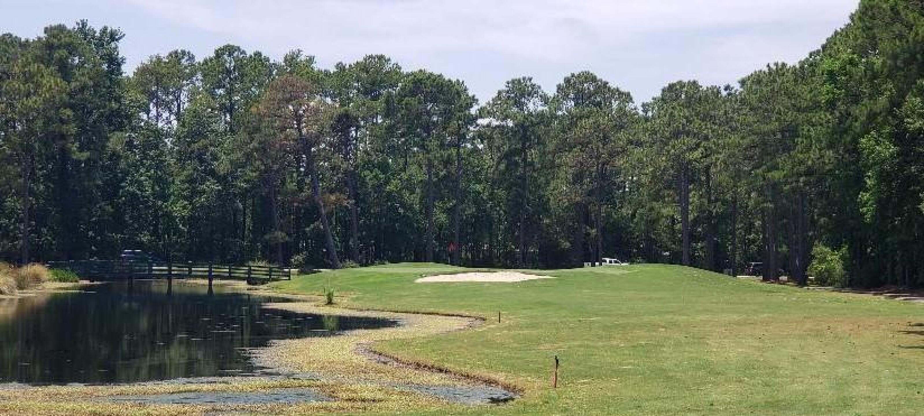 (Photo submitted by uQYBK6623QY on 07/03/2019)